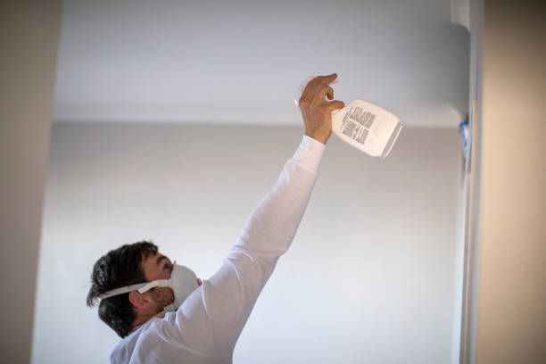 Best Fast Mold Removal  in Alvin, TX